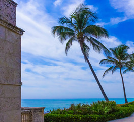 Palm Beach, Florida, USA. The ocean and trees on Worth Avenue