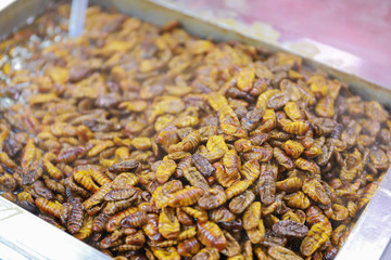 South Korea street food