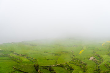 Obraz premium Green terraced fields in Nar village, Annapurna Area, Nepal