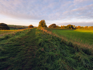 Obraz premium Early Autumn countryside morning,Northern Ireland