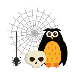 happy halloween owl with skull and spider
