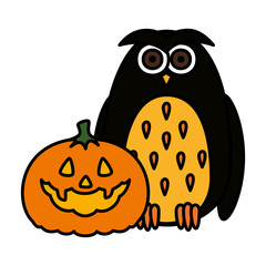 happy halloween pumpkin with owl