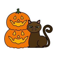 halloween black cat with pumpkins