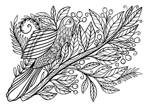 Coloring Pages. Coloring Book for adults. Beautiful template with artwork. School education.Bird hummingbird and twigs.