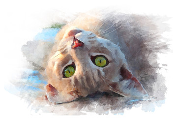 watercolor drawing of a lying cat