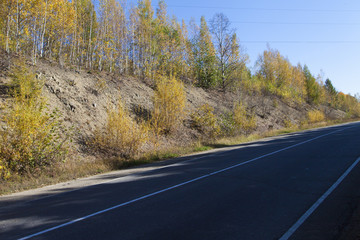 Fototapeta premium Beautiful autumn wood