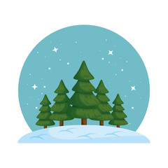 Obraz premium pines trees forest icescape scene