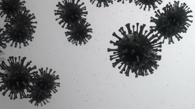 Animation of bacteria virus or germs microorganism cell under microscope with depth. Animation of seamless loop.