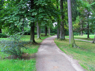alley in the park