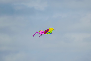 kite in the sky, in Sweden Scandinavia North Europe