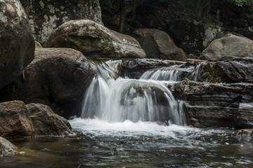 waterfall in forest