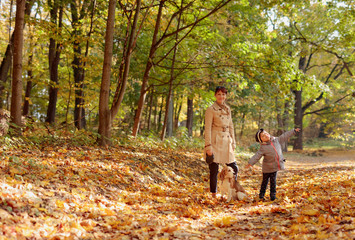 Fototapeta premium Mid age woman with little girl and beagle walking in the autumn park.