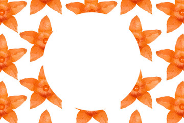Orange physalis pattern background, flat lay with copy space