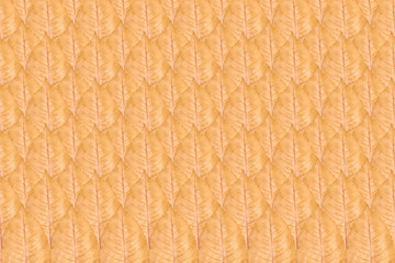 Close up of yellow autumn leaf pattern, background photo