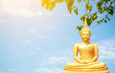Obraz premium The golden Buddha statues under Bo leaf and blue sky background.