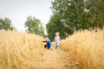 Naklejka na ściany i meble Little boy and girl on a wheat field in the sunlight running, playing enjoying nature. Kid Raising over field and sunset sky background. Children environment concept