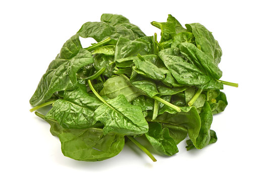 Green spinach leaves, isolated on a white background. Close-up.