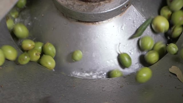 Olive oil production- machine washing olives- South of Italy