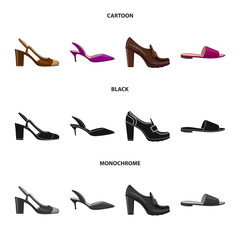 Vector design of footwear and woman sign. Collection of footwear and foot stock symbol for web.