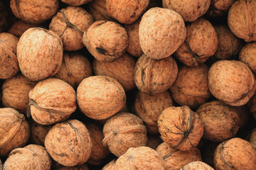 Fresh walnut background