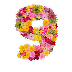 Number 9 made from flower isolated on white background. Whit clipping path
