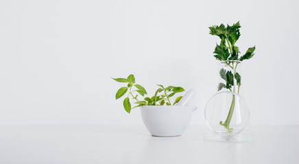 Alternative herb medicine. Pestle/mortar and erlenmeyer flask with herbs