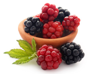 Fresh blackberries in clay bowl