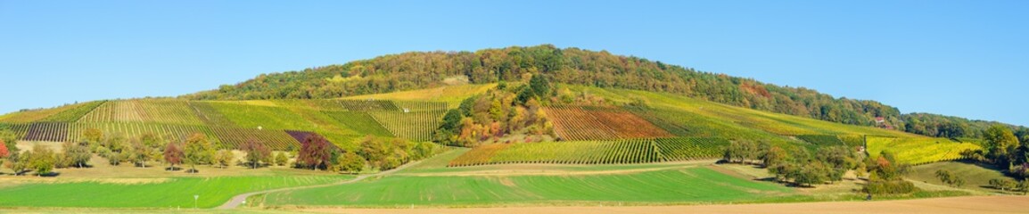 Panorama Weinberg im Herbst