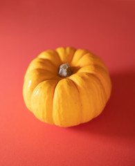pumpkin2