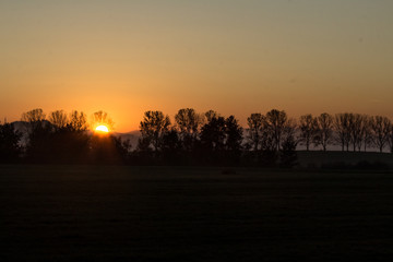 Obraz premium sunset in forest