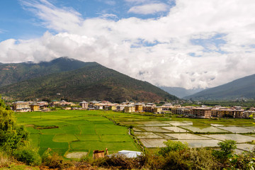 Bhutan Rice Fields, Paro Valley, Bhutan