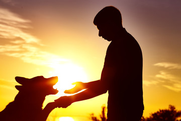 silhouette of a man with dog in the field at sunset, the pet giving paw to his owner, the concept...