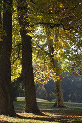 der Herbst kommt langsam