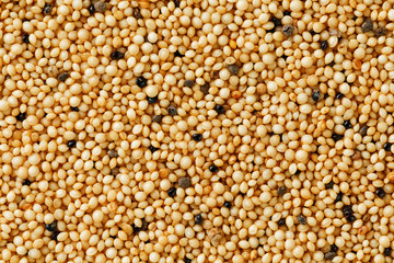Jasmine brown rice closeup. Organic grain texture