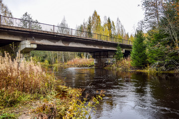 Fototapeta na wymiar Autumn forest river bridge landscape