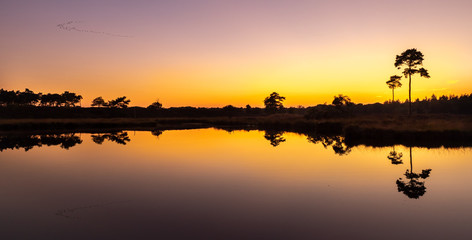 Fototapeta na wymiar Reflective landscape during sunset