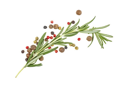 Fresh organic rosemary and peppercorn isolated on white background