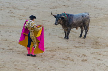 bullfighter in blue and gold suit