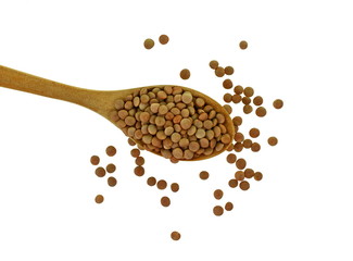 Raw Fresh organic lentils in a wooden spoon isolated on white background.