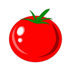 Tomato on white background