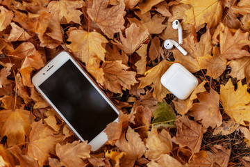 White mobile phone with earphones on a background of yellow leaves. Autumn/fall mood. Autumn music, reading. Above view. Copy space, close up.