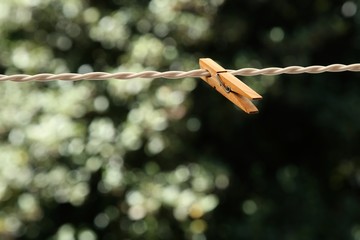 A wooden laundry peg on a washing line with bokeh background. 