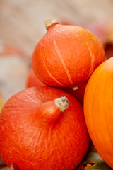 Close-up of pumpkins and autumn leaves background. Selective focus, shallow DOF.