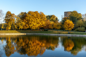 Fototapeta na wymiar Autumn in the Park