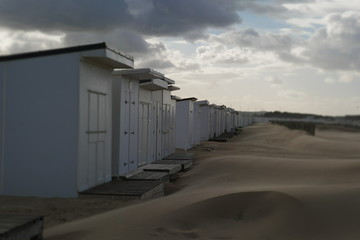 Naklejka premium Plage de Calais - France