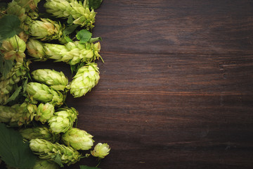 Oktoberfest concept with green hops on wood background top view with copy space