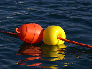 boe sul mare Monorato