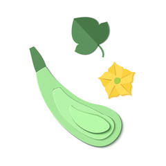 Set of paper cut zucchini. Origami squash whole,. Collection of vegetable marrow leaf and flower. Vector card illustration. Harvest courgette organic ingredient in paper art style.