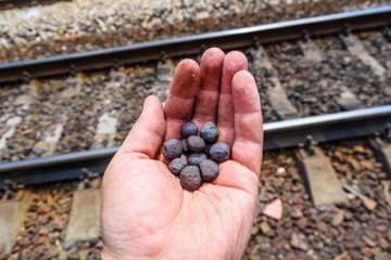 Iron ore taconite pellets in a worker hand