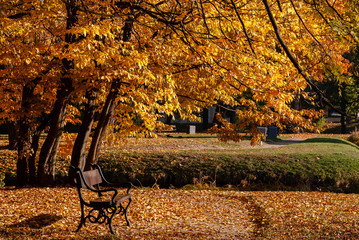Jesień w parku Branickich, Polska, Podlasie, Białystok © podlaski49
